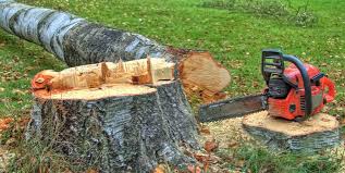 Best Hazardous Tree Removal  in Raubsville, PA