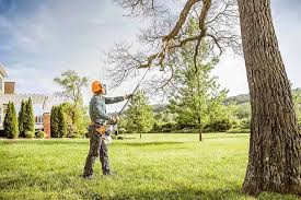 Best Lawn Mowing  in Raubsville, PA