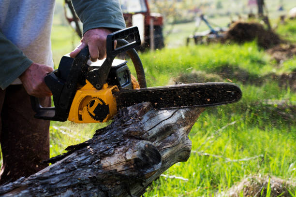 Best Lawn Pest Prevention  in Raubsville, PA